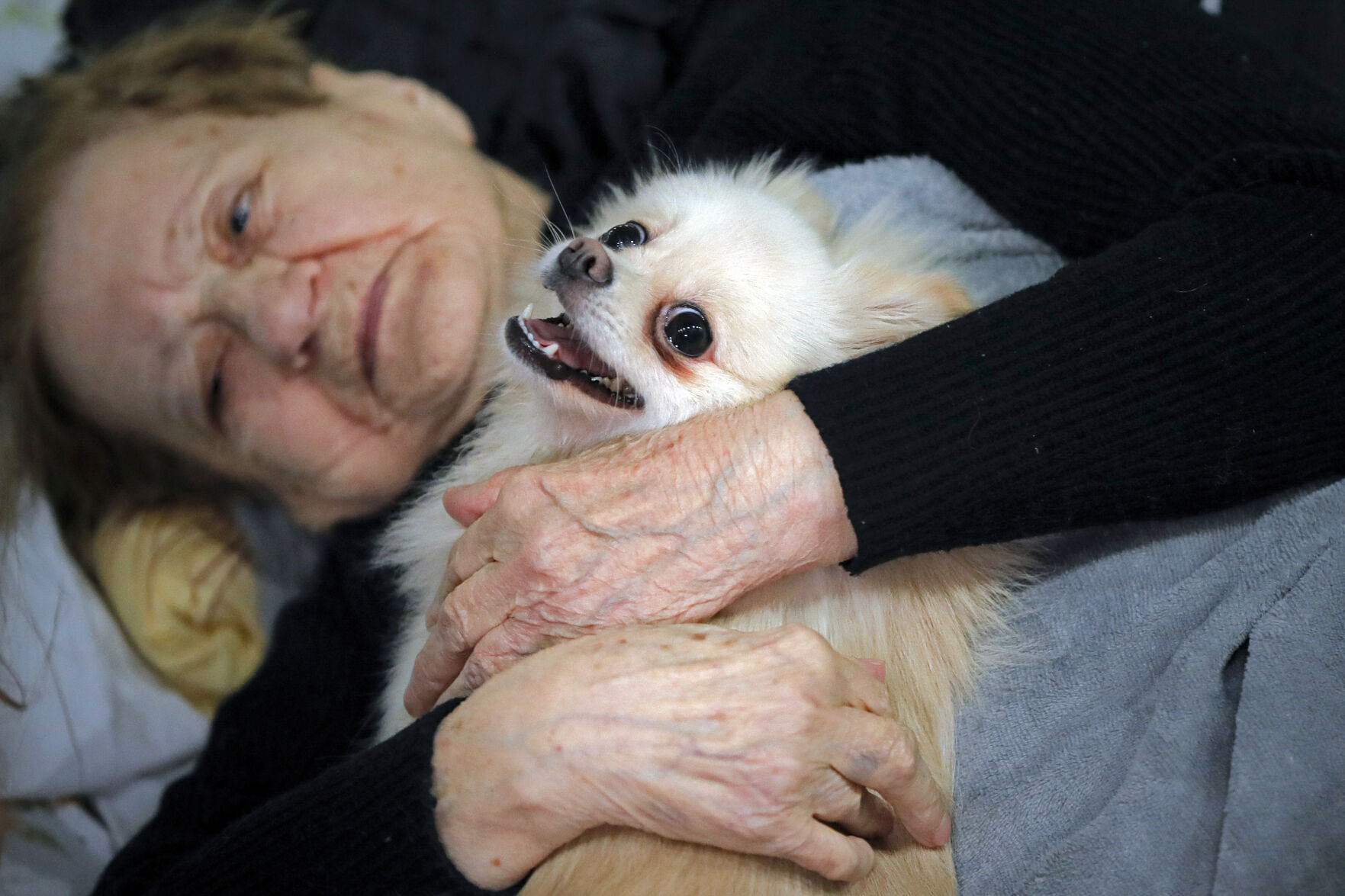 Russia Ukraine War Pets Photo Gallery